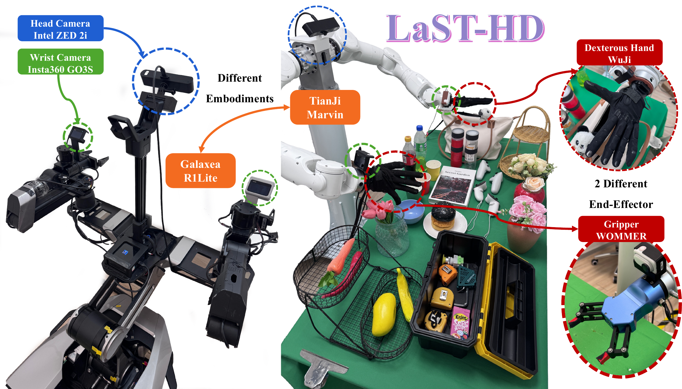 The three robot embodiments used by LaST-HD: TianJi arm with WOMMER gripper, TianJi arm with WuJi dexterous hand, and Galaxea R1Lite.